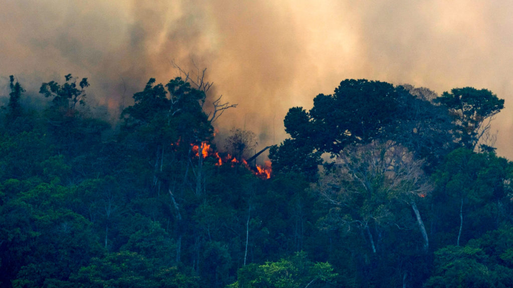 Fire burns in Brazil jungle