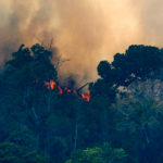 Fire burns in Brazil jungle