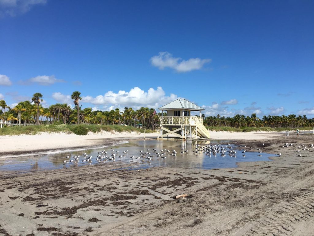 Some Key Biscayne beaches cleared for swimming after sewage plant